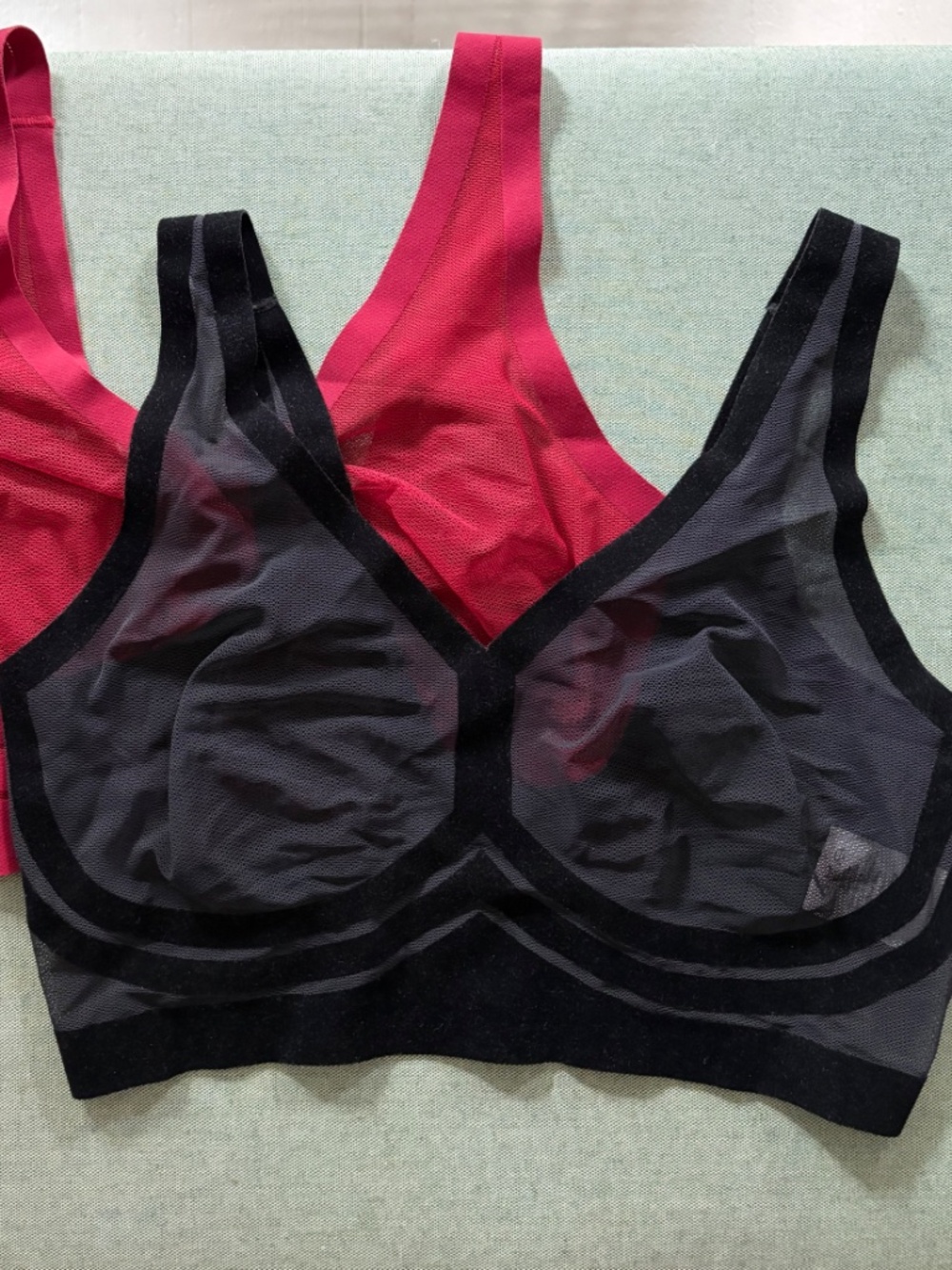 EBY Sheer Bralettes (2)